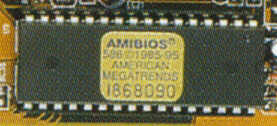 biosami.JPG (8957 byte)