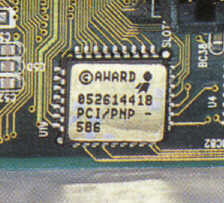 qdibio.JPG (11639 byte)