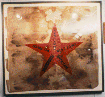 [Star Flag]